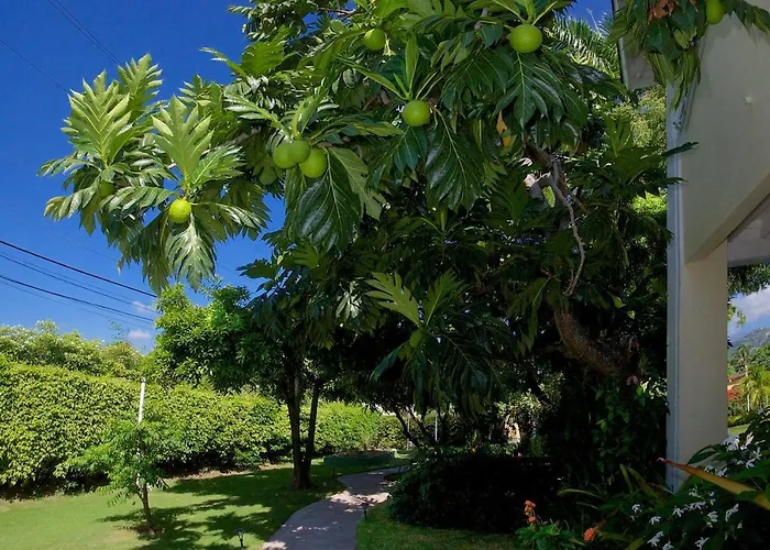 Kingston Hotels