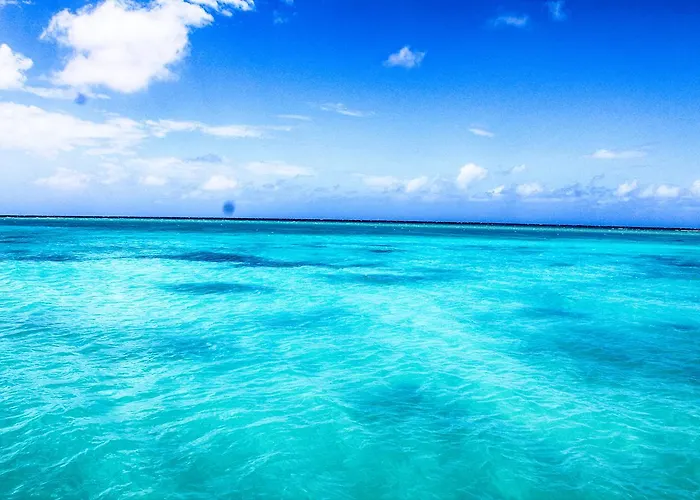 Montego Bay Guest Houses near Margaritaville Montego Bay